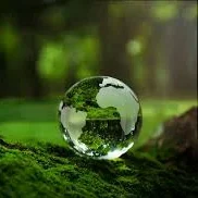 Environment